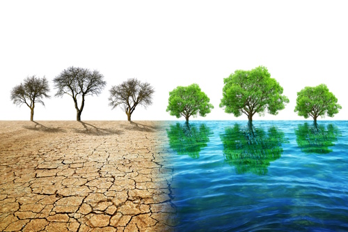 Symbolic illustration of water scarcity and abundance: dry cracked earth with withered trees contrasted against thriving green trees surrounded by water.
